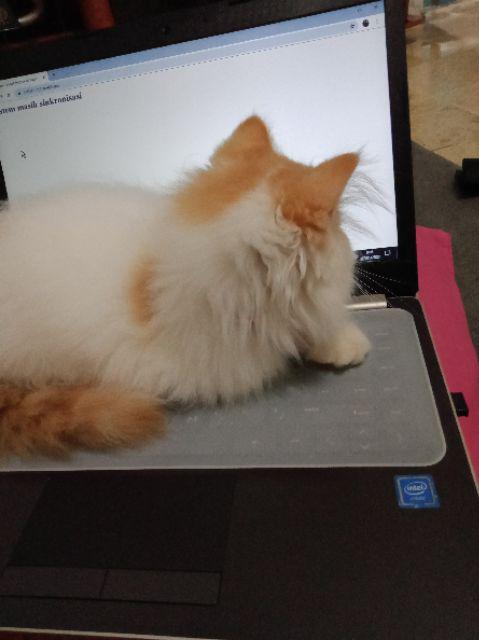 Kemeja Batik Pria Slim Fit Lengan Panjang Luigibatani Baju Batik Pria Slim Fit Katun Lbl704