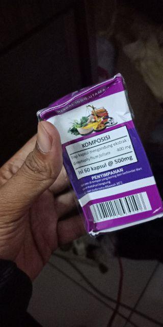 Obat Wasir Hiu Daun Ungu / Obat Ambeien / Obat Wasir Herbal / Kapsul Daun Ungu / Obat Ambeyen