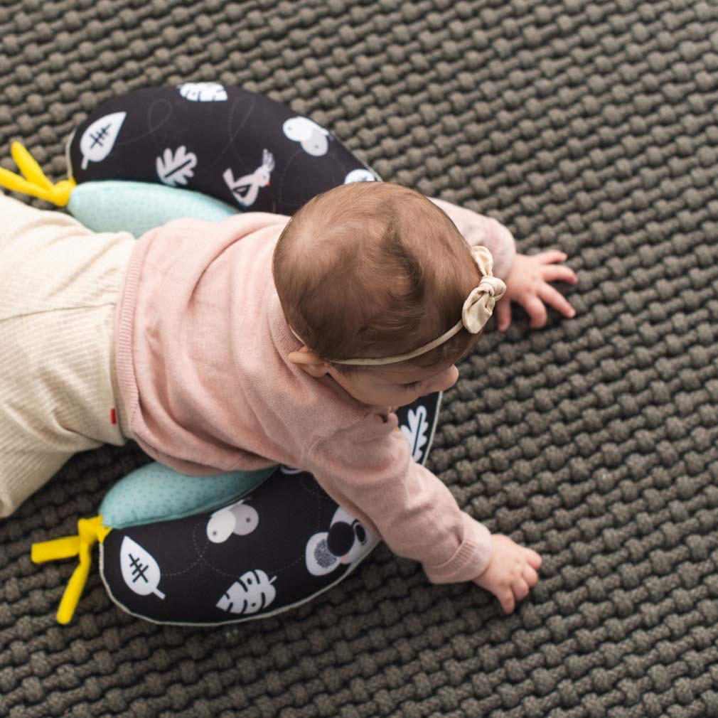 Taf Toys 2 in 1 Tummy Time Pillow