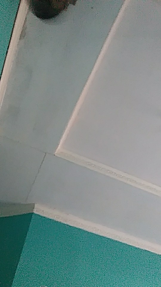 Teko Rigoletto Maspion 5 Liter / Teko Bunyi Alcor Maspion