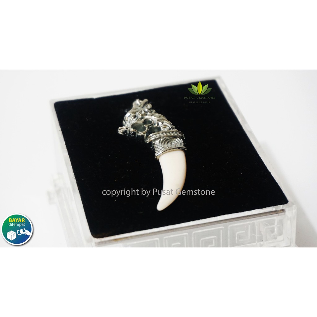 Liontin Taring Kepala Naga