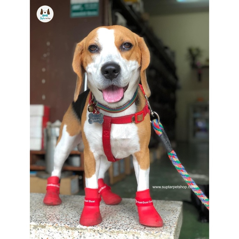 4pcs Sepatu Boots Anti Slip / Air / Hujan Portable Untuk Anjing / Kucing Peliharaan