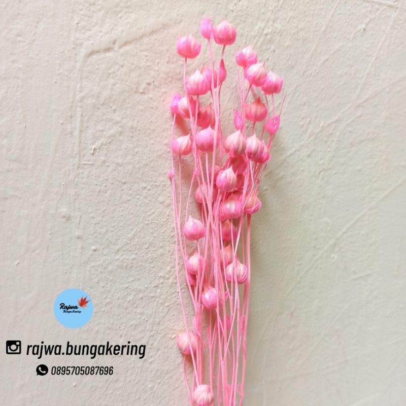 

Dried Jumble bead Lino warna pink
