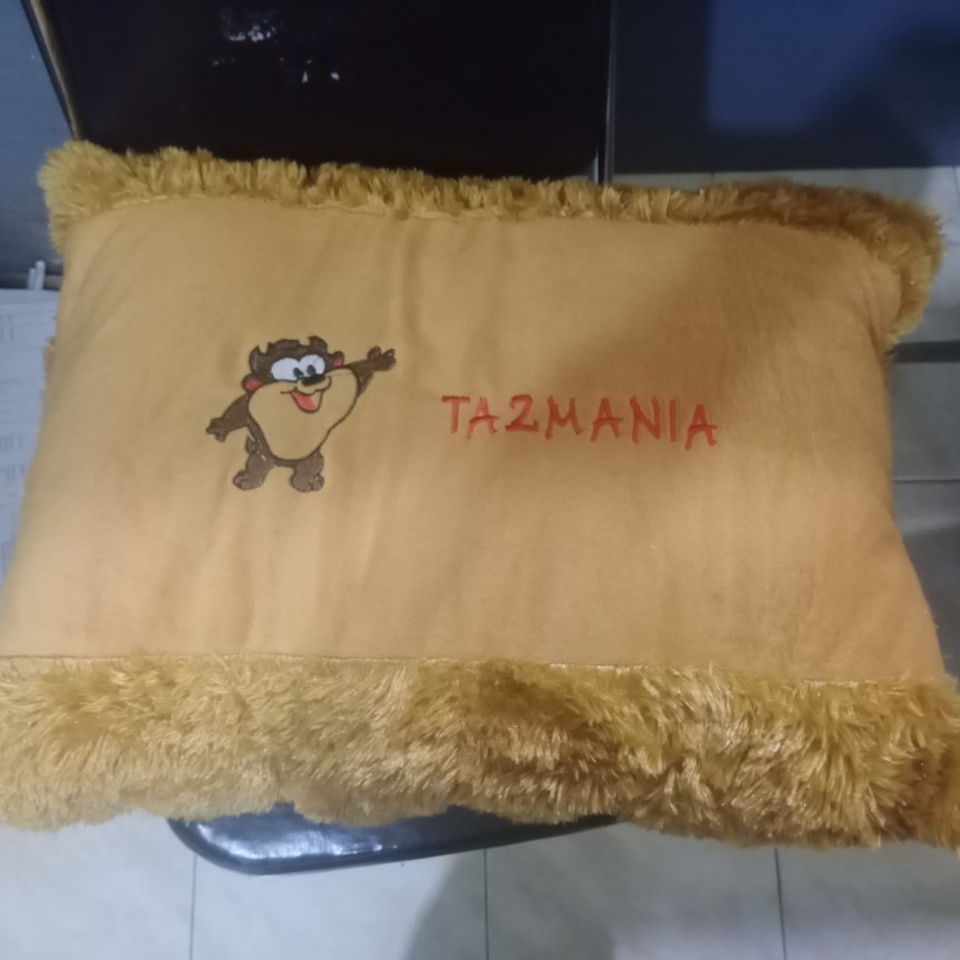 Bantal Jumbo Karakter Dewasa Besar 53cm