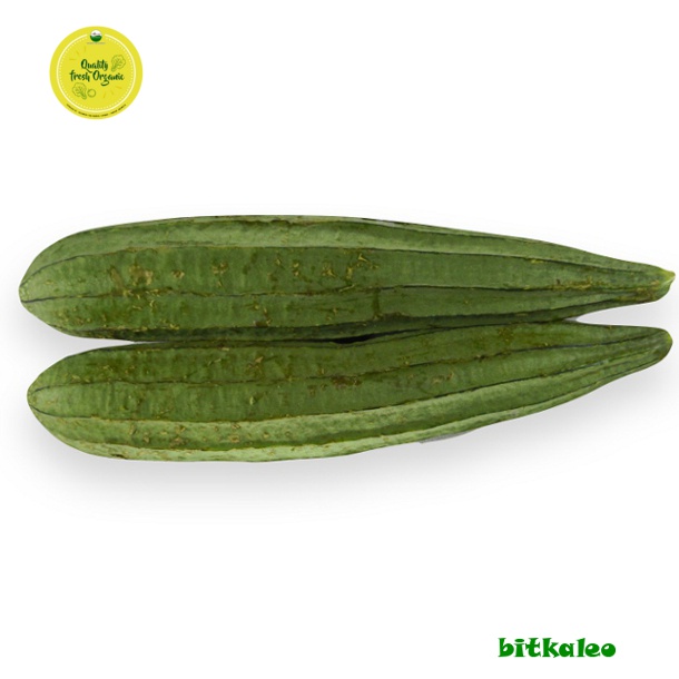 

Oyong Organik 500 gr (PO)