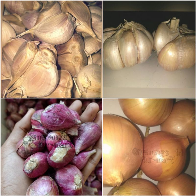 

[PASAR ONLINE] BAWANG MERAH || BAWANG BOMBAI || BAWANG KATING || BAWANG BANCI 250gram