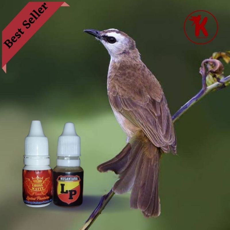 vitamin trucukan doping burung trucuk LP