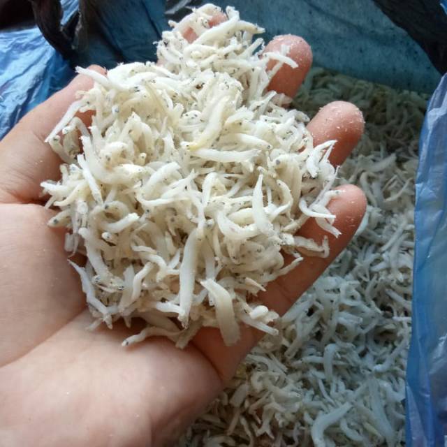 

Iikan teri nasi ukuran sedang