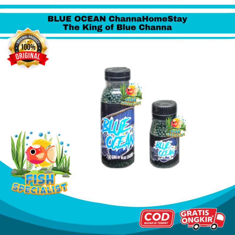 PELET BLUE OCEAN GRADE A+  50gram - Pakan Ikan Channa HomeStay Pulchra Auranti