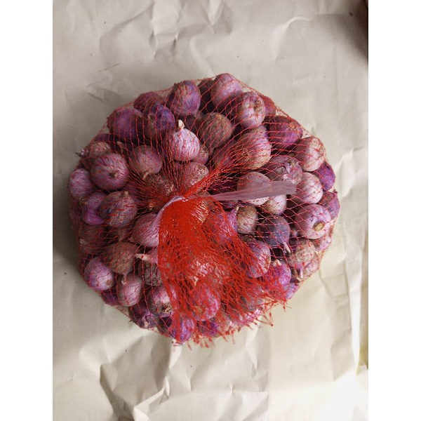 

Bawang putih tunggal SUPER | ukuran{ SEDANG } 1 KG