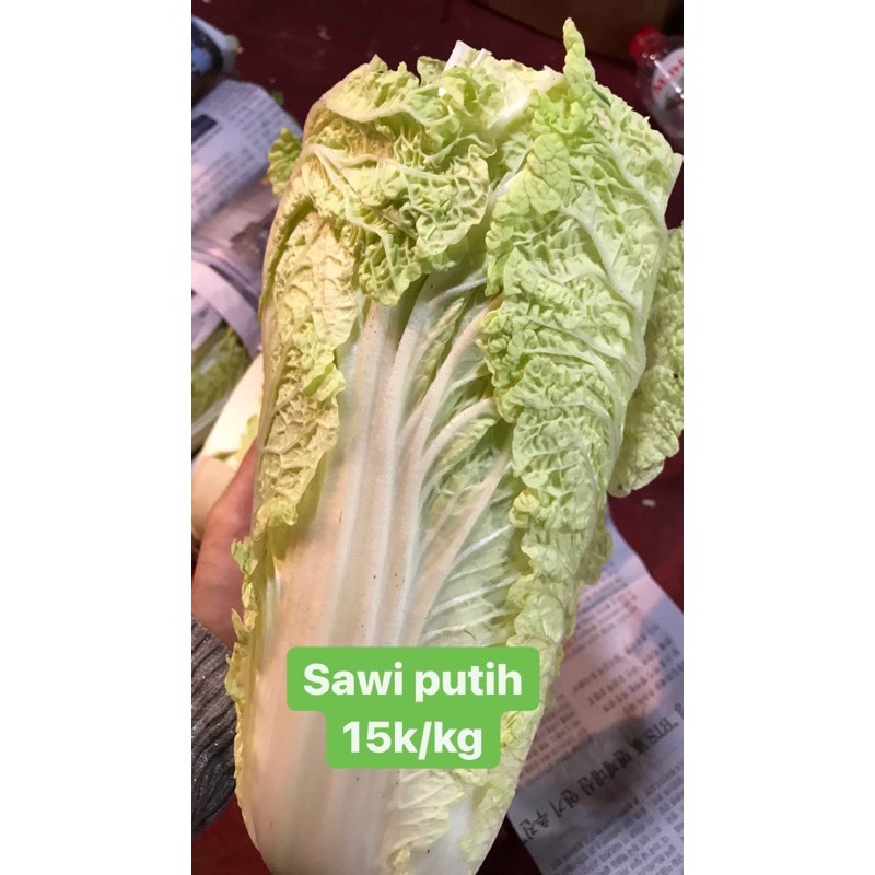 

sawi putih