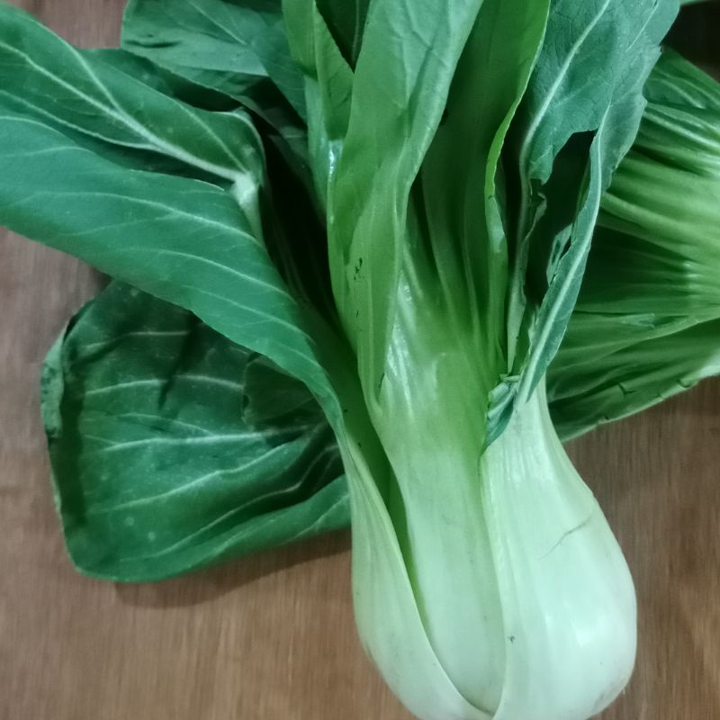 Sayur Pakcoy Segar Fresh 250 gram / Phak Choy / Pak Coy / Phakchoy