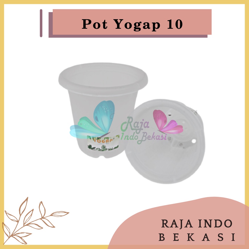 Pot Yogap 10 Transparan Bening Clear Tinggi Tebal Berkualitas Grosir Pot Yogap 10 13 15 17 18 Murah