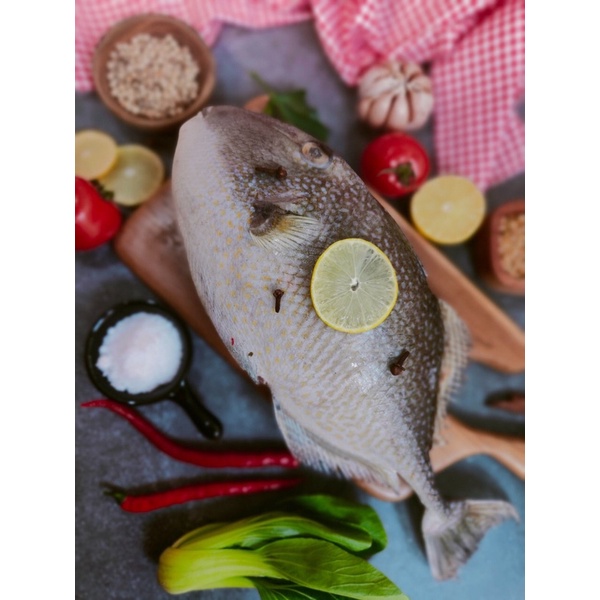 

Ikan Ayam Ayam Segar (Beku)