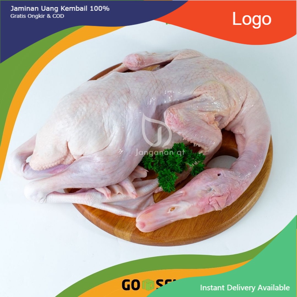 

BEBEK UTUH 1 EKOR SIZE MEDIUM -