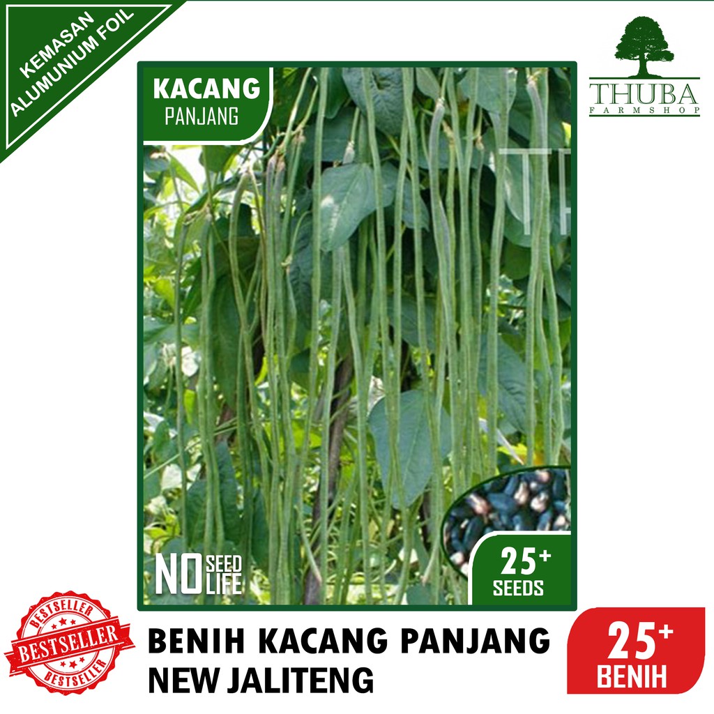 25 Bji - Benih Kacang Panjang Hijau NEW JALITENG - Bibit Kacang Panjang Bermutu