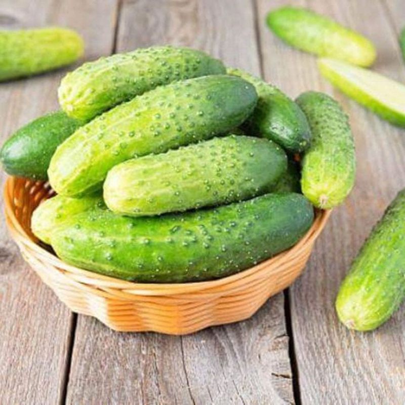 Benih repack , timun baby mentimun 007 isi 10 biji