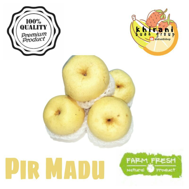 

SWEAT PEAR/PIR MADU