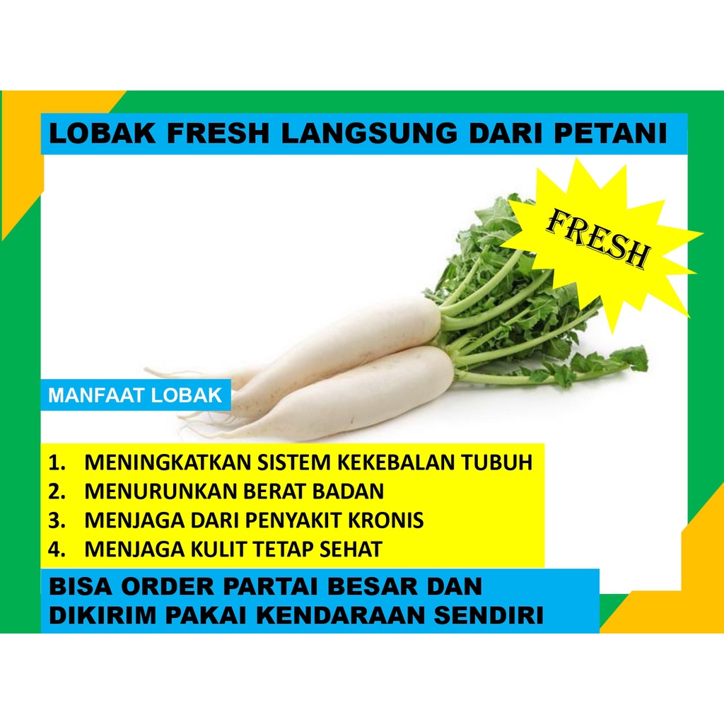

Lobak Fresh Langsung Dari Petani