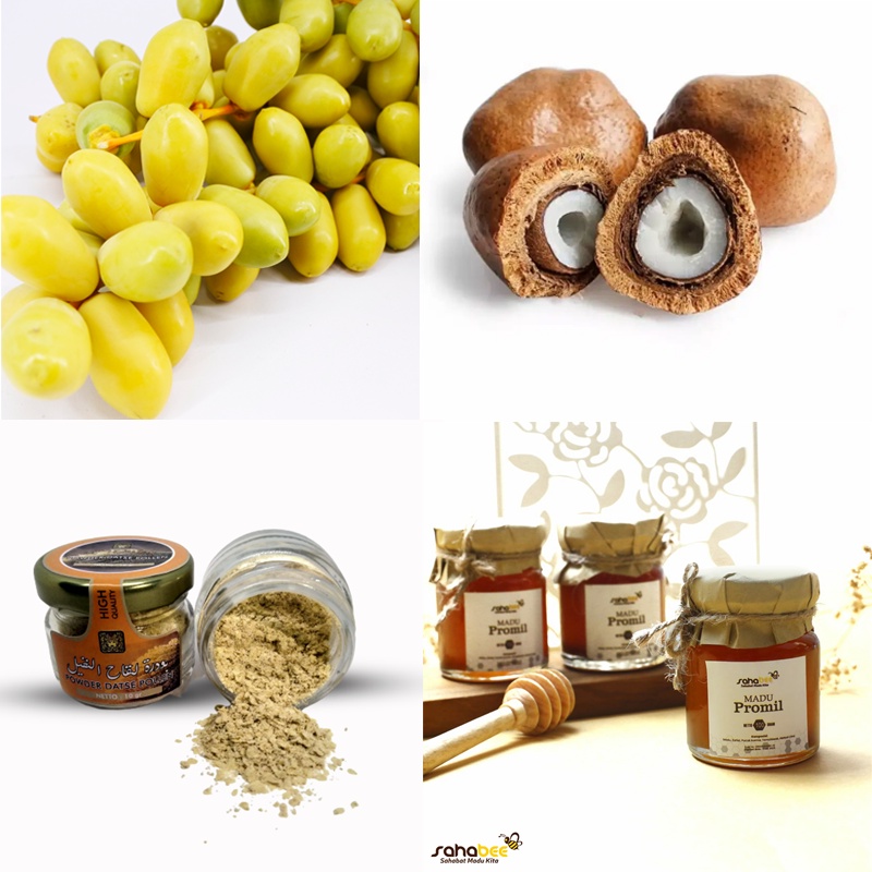 Paket Promil Hemat Kurma Muda Buah Zuriat Madu Promil | Paket Program Hamil Hemat