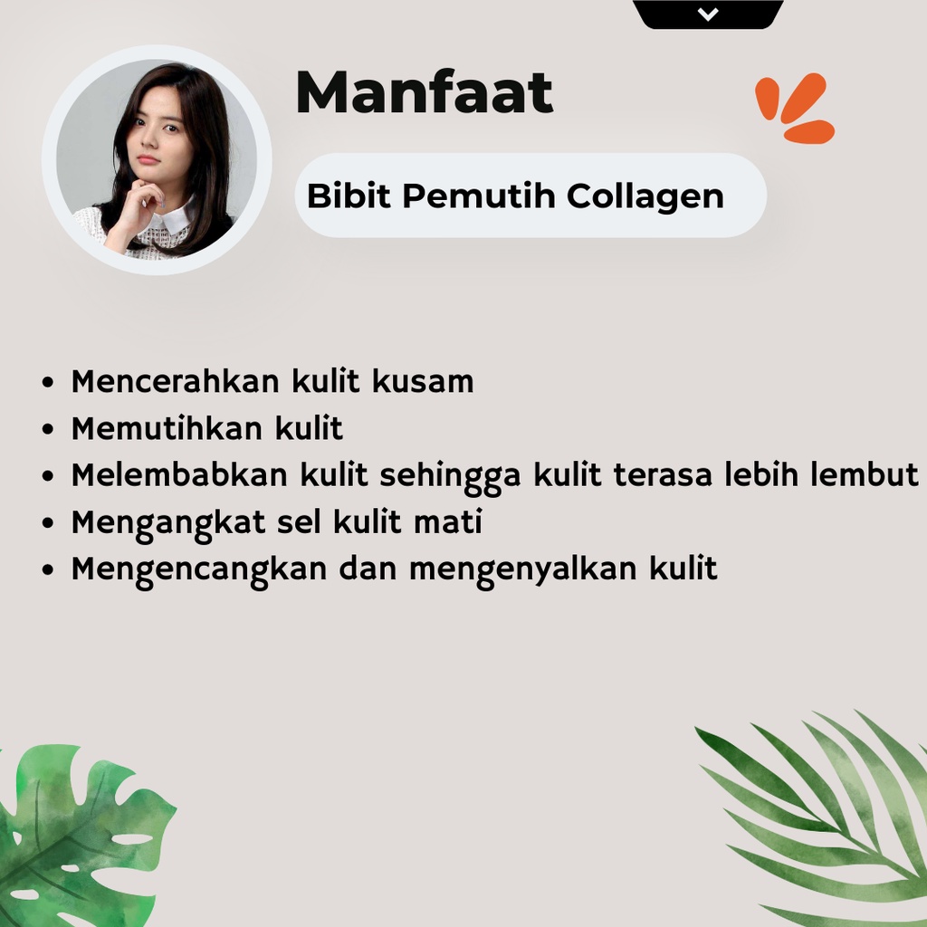 Bibit Pemutih Collagen - Handbody Lotion Pemutih Kulit Luluran Pemutih Badan Cream Glowing Permanen Bibit Collagen Shcosmetic 150ml Ori Bpom