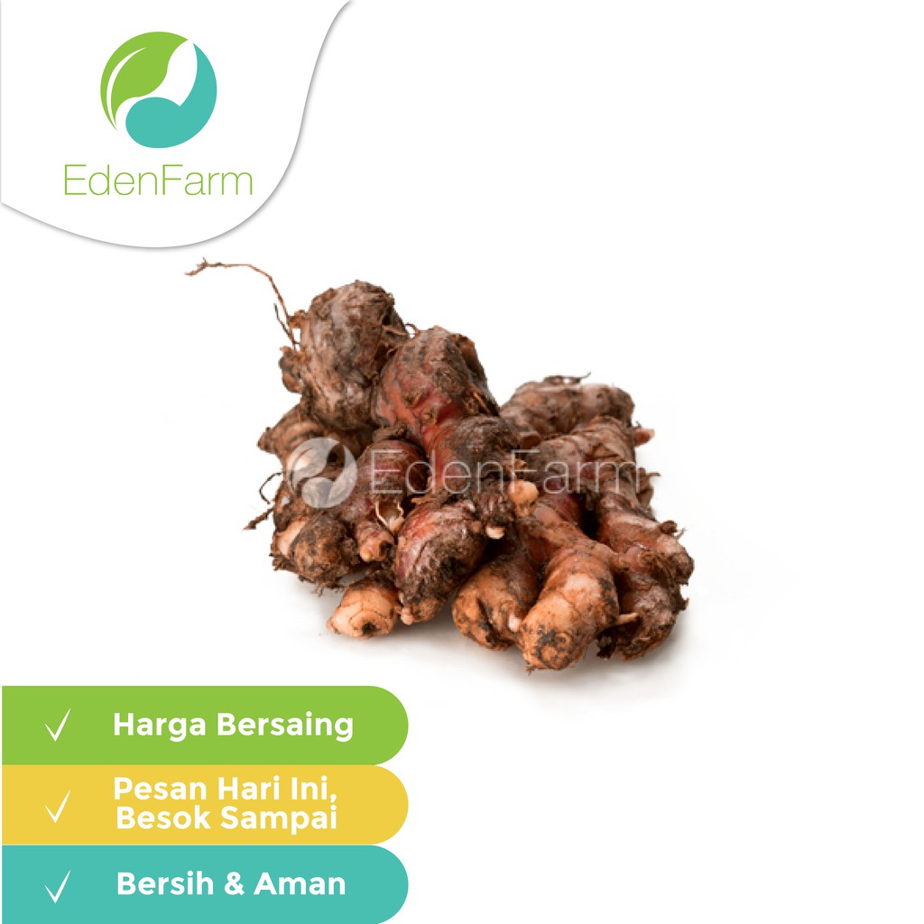 

Jahe Merah 250gr Eden Farm