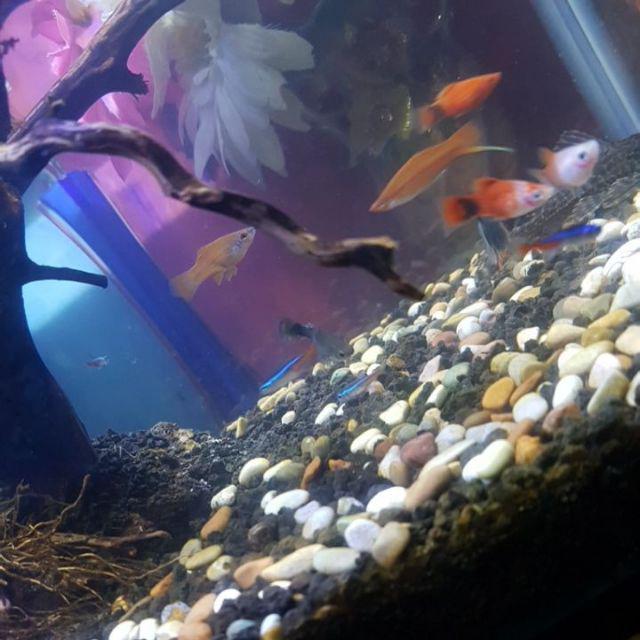 Polybag Ukuran 35 X 35 Murah Awet