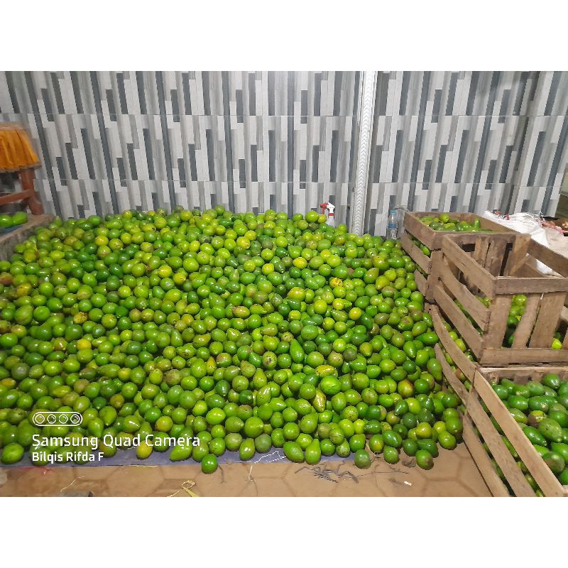 

Alpukat untuk jus ( sotiran )