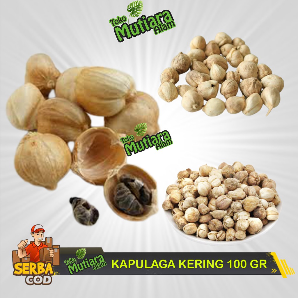 

100 GR Kapulaga Kering Organik Kualitas SUPER PREMIUM MUTIARA ALAM