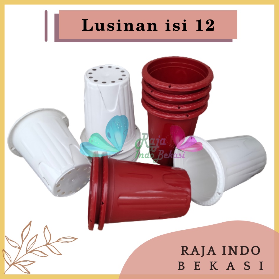 Lusinan 12pcs Pot Golden Erna 20 Putih Bening Transparan Hitam Merah Bata Merah Coklat Terracota Terracotta Mirip Lusinan 18 19 25 Murah Putih Coklat Merah Bata Bening Transparan Pot Yogap Murah Pot Bunga Tinggi Pirus Tegak Bagus Tebal