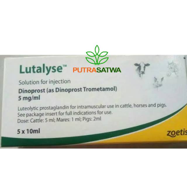 LUTALYSE -- Hormon Penyerentakkan Birahi pada Sapi , Babi, Kambing dan Kuda
