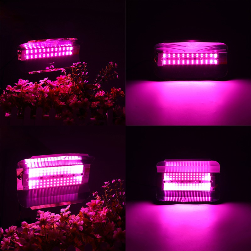 Lampu Tanaman Hidroponik Led Grow Light Hydroponic 100W 220V