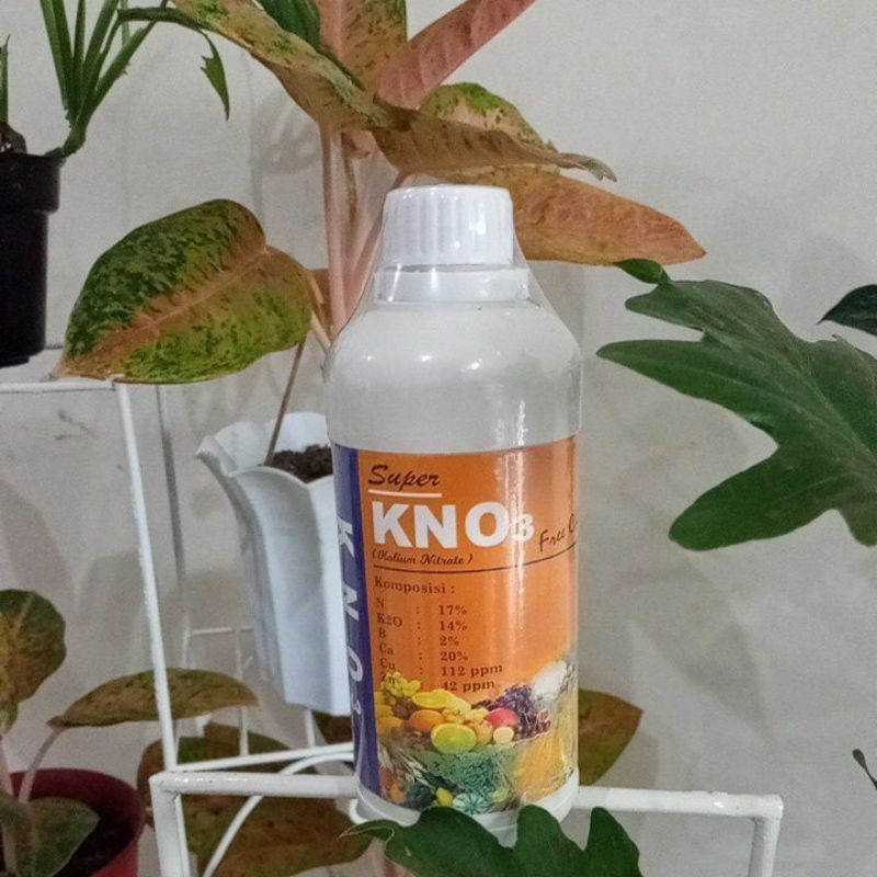 HARGA GROSIR PUPUK CAIR SUPER KNO3 FASE VEGETATIF 500ML