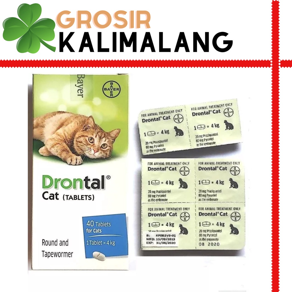 Drontal Cat Obat Cacing Kucing