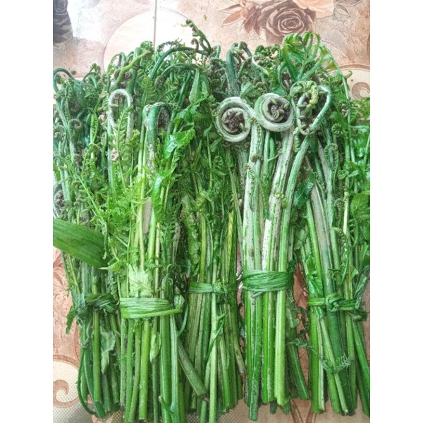 

PAKIS SAYUR PRASH ORIGINAL 100%