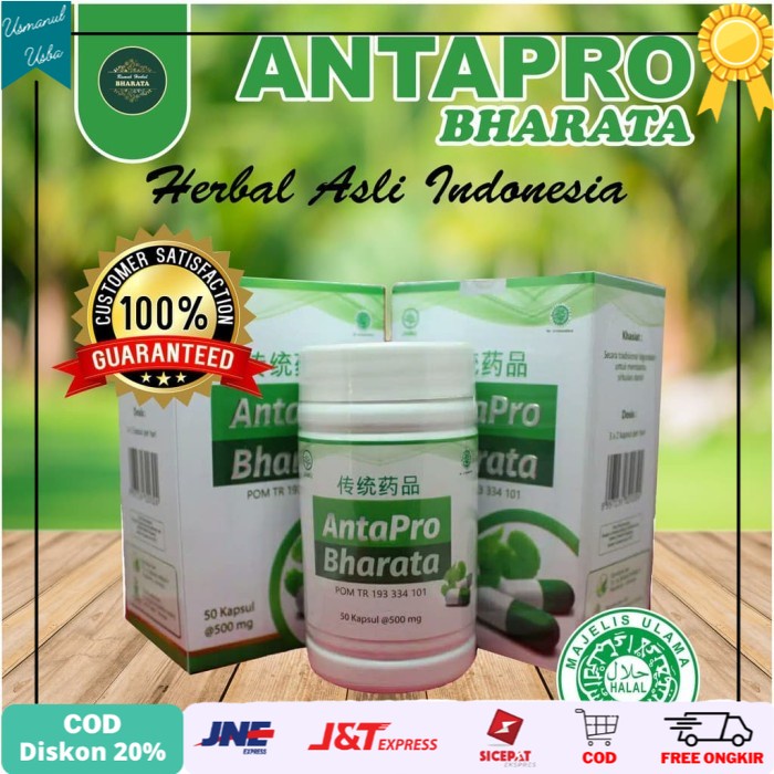 

◾COD◾ Obat Jantung Dan Stroke Terampuh Antapro Bharata