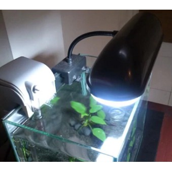 Lampu Jepit Aquarium Akuarium JEBO JB15 JB-15 PL 13 Watt Hemat Energi