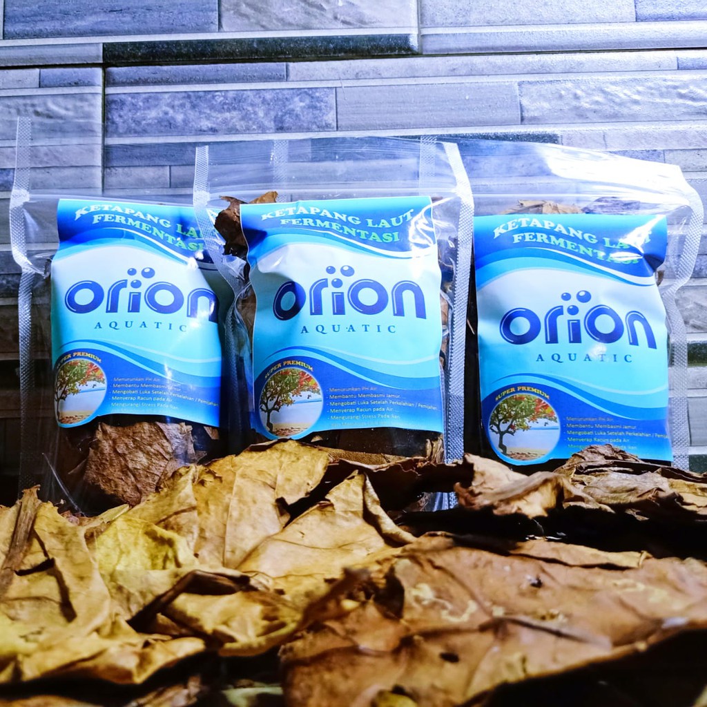 

[BISA COD] ORION AQUATIC Ketapang laut fermentasi Super premium quality 40 gram / ketapang laut