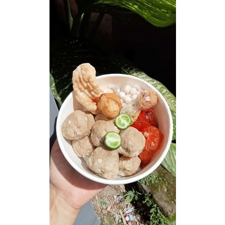 

BASTUL TASIK