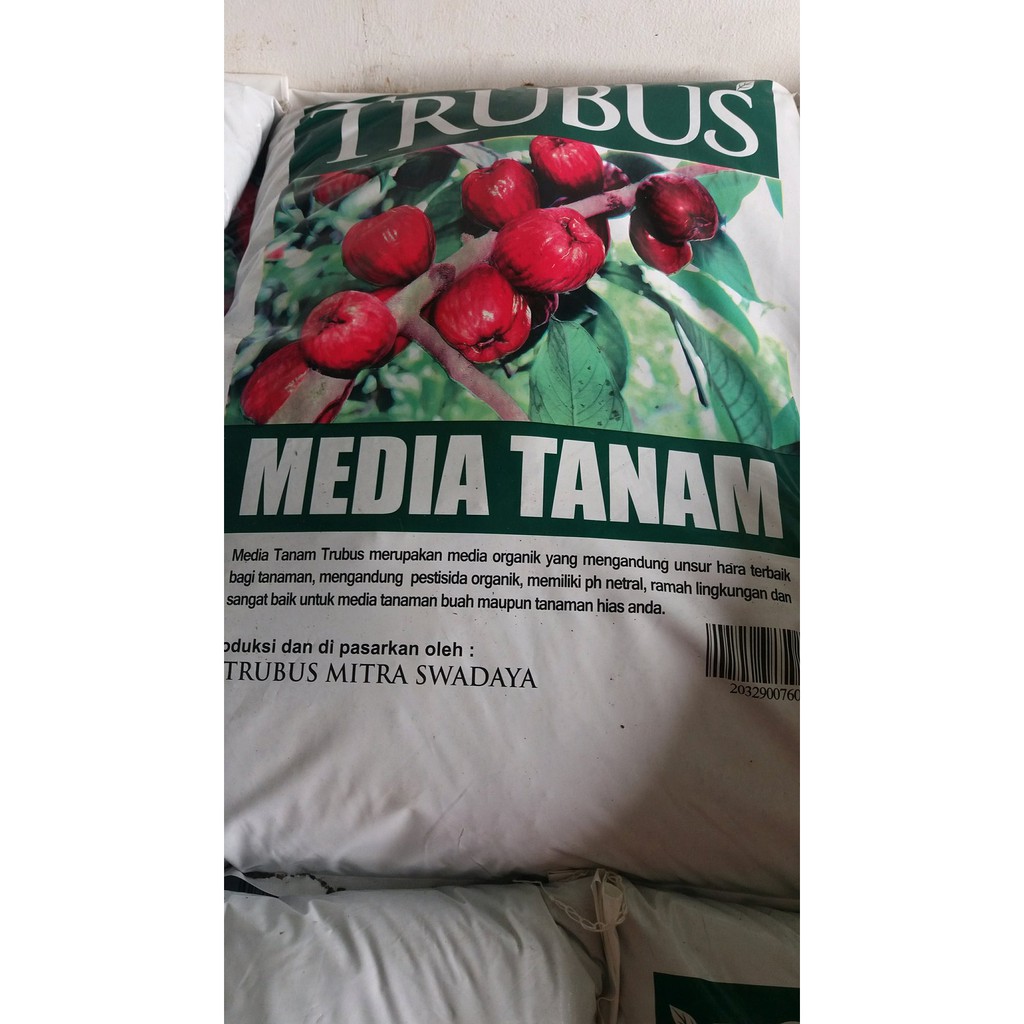 media tanam trubus