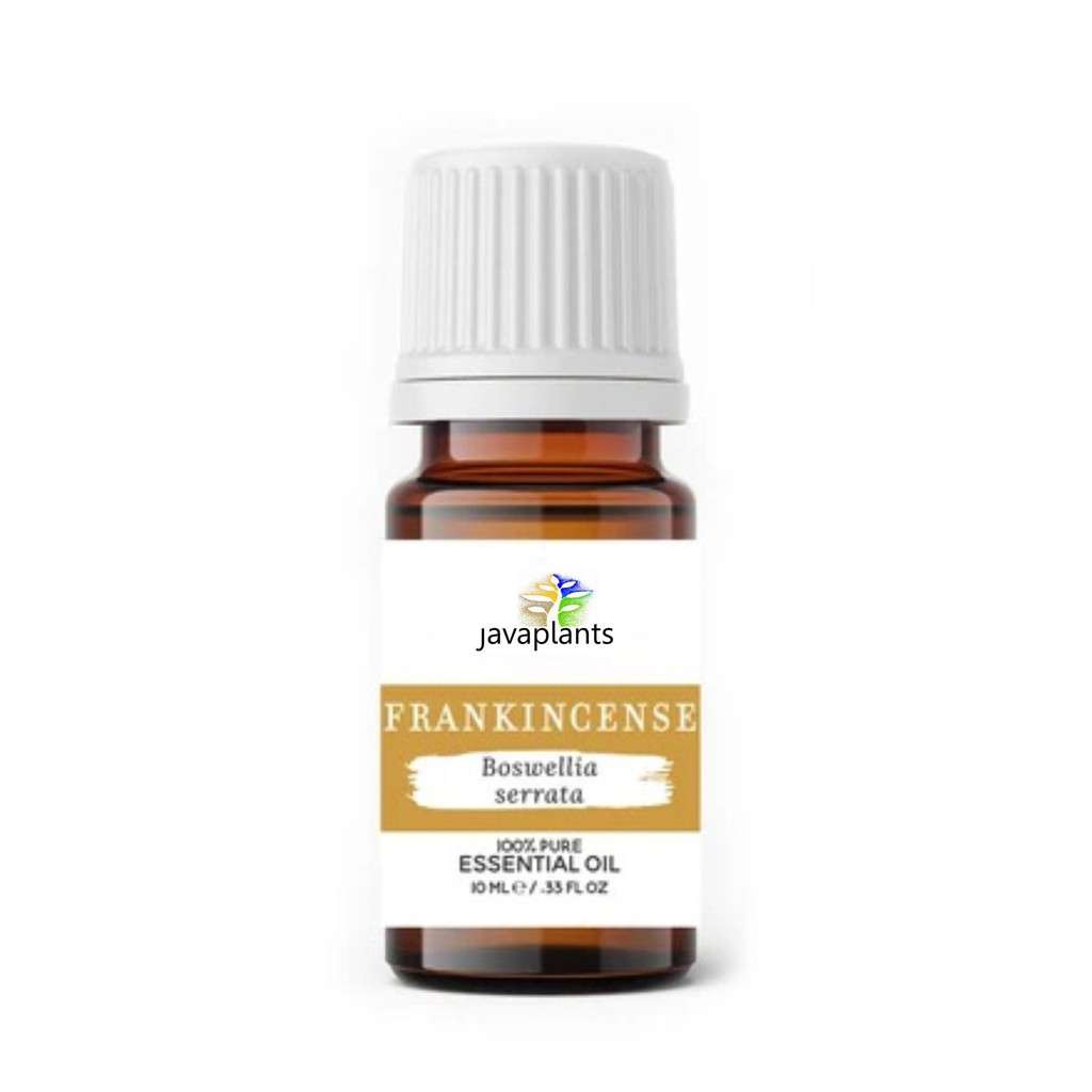 Frankincense Essential Oil Pure Boswellia Serrata | Minyak Luban Kemenyan Arab