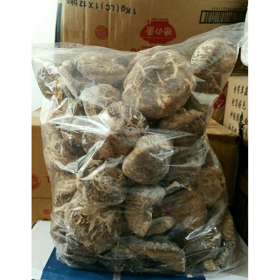 

jamur shitake cap gunung 10ns