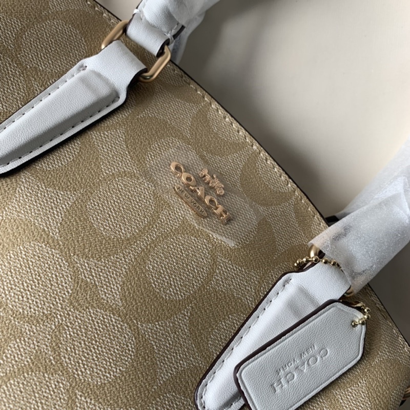 Coach Signature Mini Sage Caryall Light Chalk Multi( C29434)