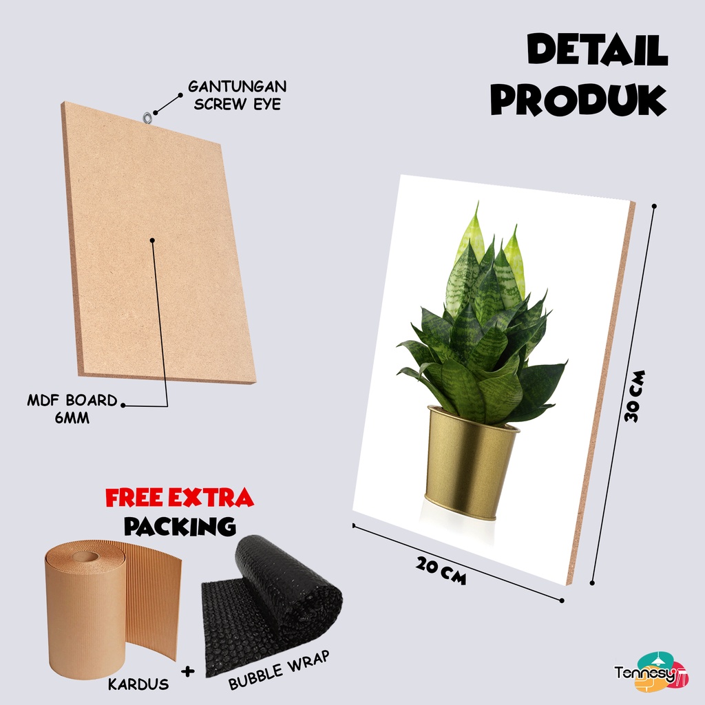 TENNESY HIASAN DINDING TANAMAN BUNGA BOTANICAL SANSEVIERA 20x30CM WALL DECOR PAJANGAN KAYU POSTER DEKORASI DINDING KAMAR RUMAH