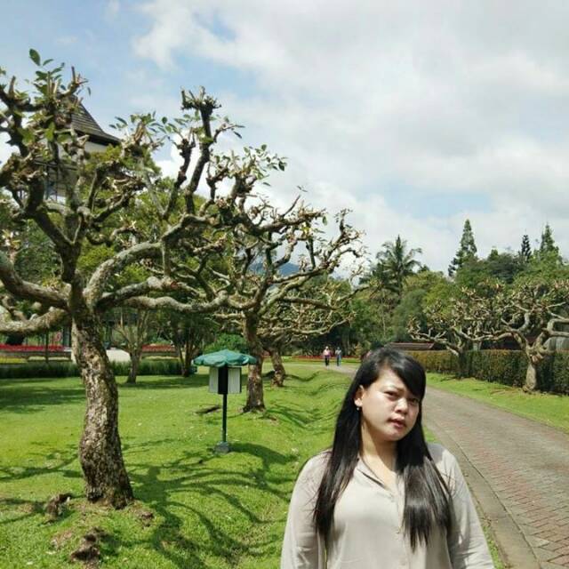 dinardiananew
