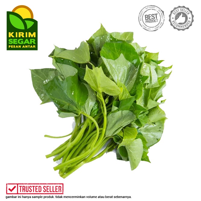 

Daun Ubi Jalar / Daun Ubi Segar / Daun Ubi Fresh / Perikat