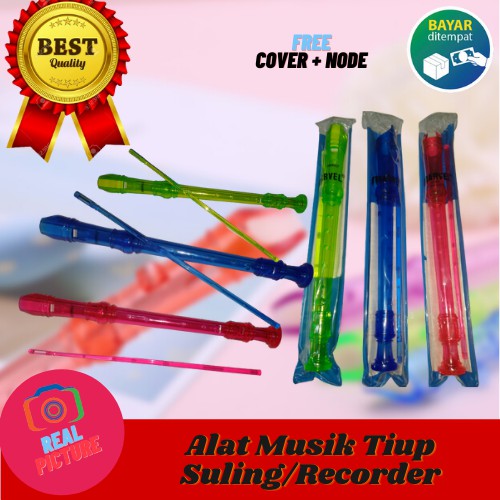 Alat Musik Tiup Recorder/Seruling Warna