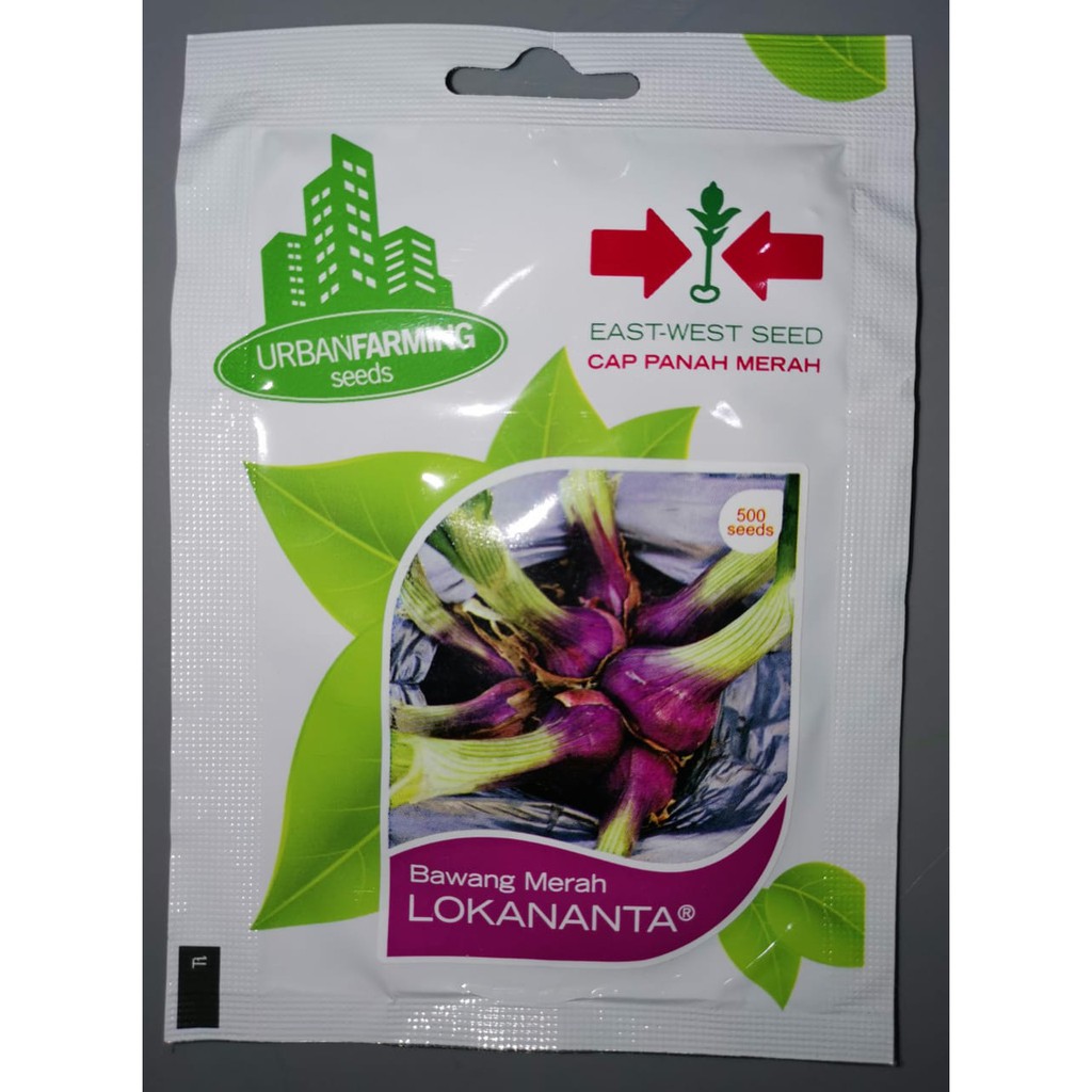 Benih Panah Merah - Bawang Merah Lokananta
