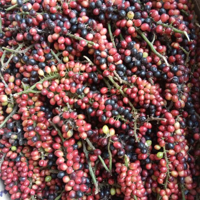 

buah buni/buaj buni