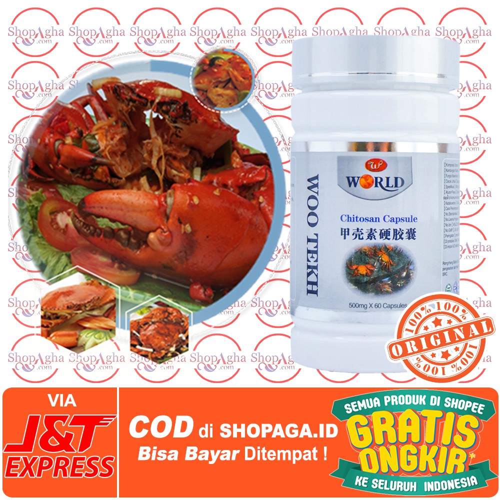 Chitosan Wootekh - 100% Original - Gratis Ongkir